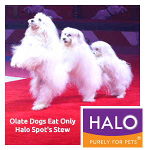 Halo purely for pets coupons