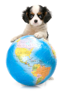 puppy-with-globe