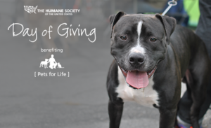 Humane Society of the United States Day of Giving March 31