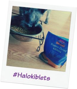Share your pet photo with us using #Halokiblets