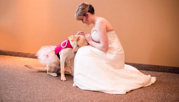 Service Dog Calms Anxious Bride