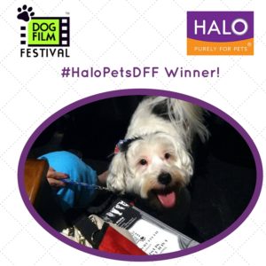 Dog Film Festival - #HaloPetsDFF