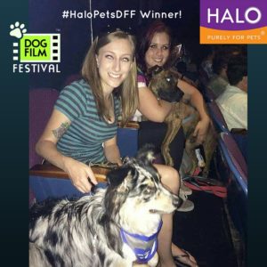 #HaloPetsDFF Winner! (2)