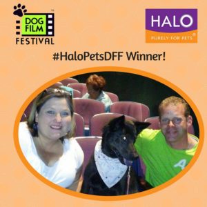 Dog Film Festival - #HaloPetsDFF