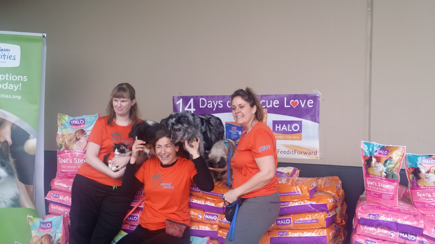 Surrey Animal Resource Center and Halo Pets Donation