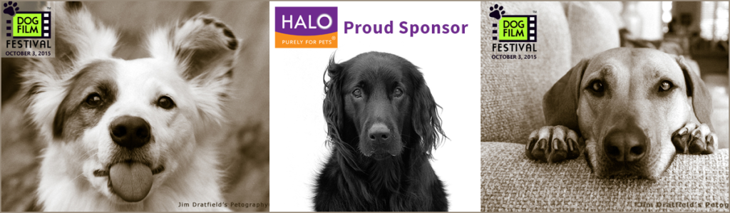 Halo Pets, proud sponsor of the Dog Film Festival