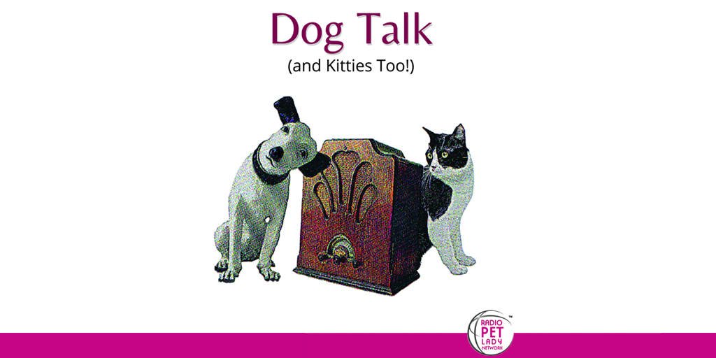 Dog Talk Radio 