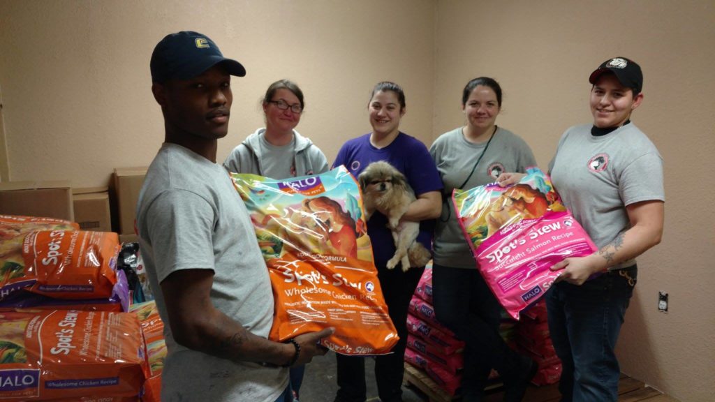 Halo Pets donates to Arkansas puppy mill survivors