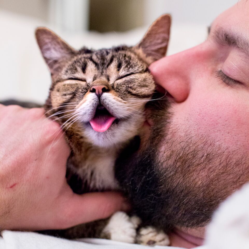 Lil Bub and his dad, Mike