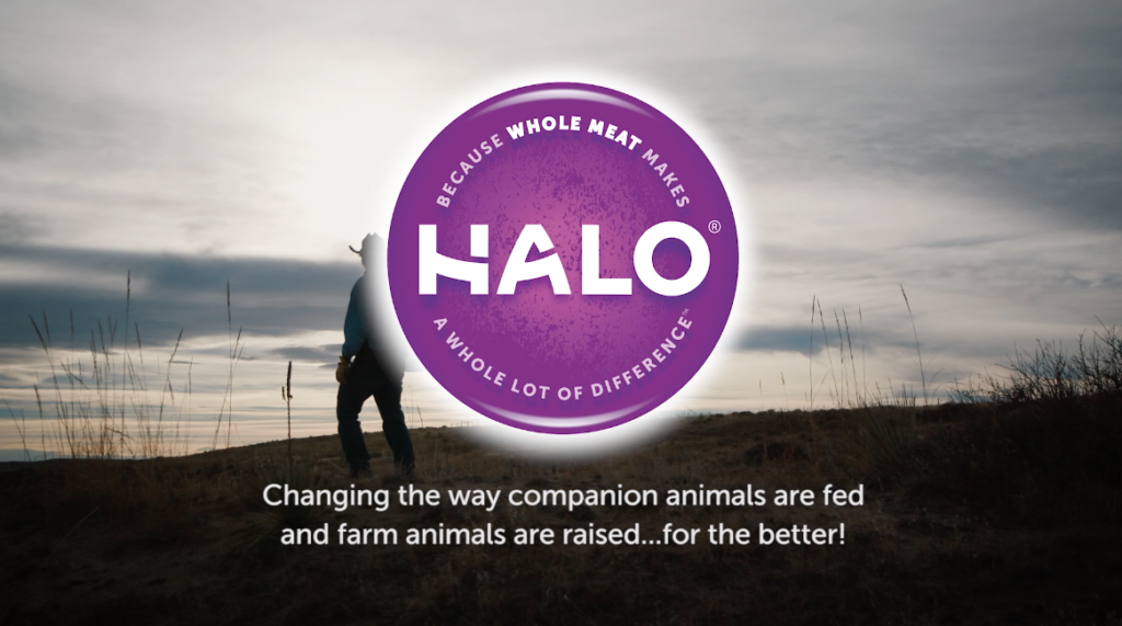 Halo Pet Food Says NO to Factory Farming