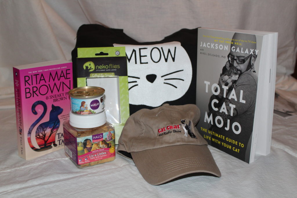Goodie bag for Cat Film Festival