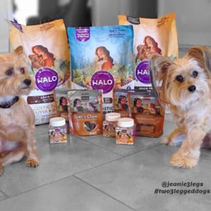 Jeanie the 3-legged dog with her sister Pippa and Halo pet food