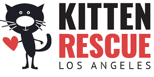 Kitten Rescue