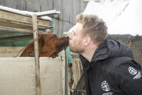 Gus Kenworthy and Humane Society International