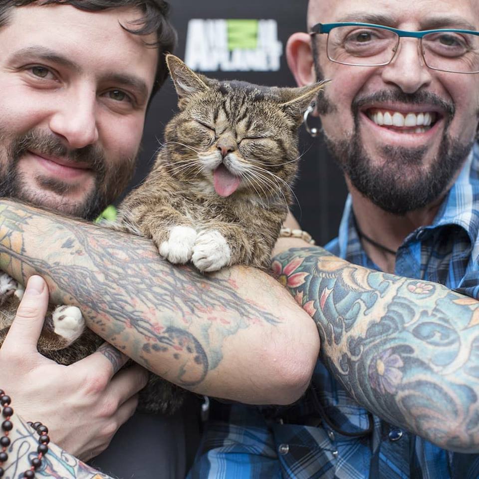 Lil BUB with her DUDE Mike Bridavsky and Jackson Galaxy 