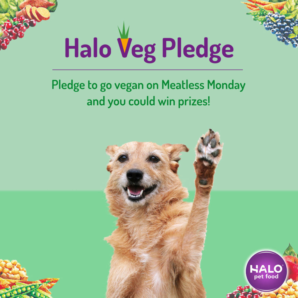 Halo Veg Pledge