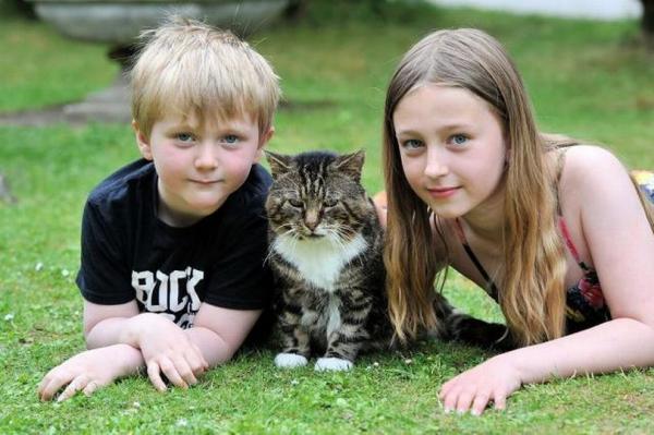 A cat named Meatball with his family