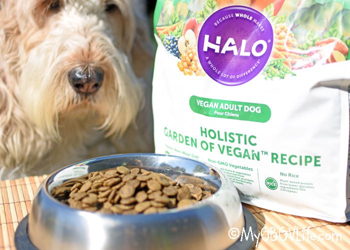 My GBGV Life with Halo Garden of Vegan dog food