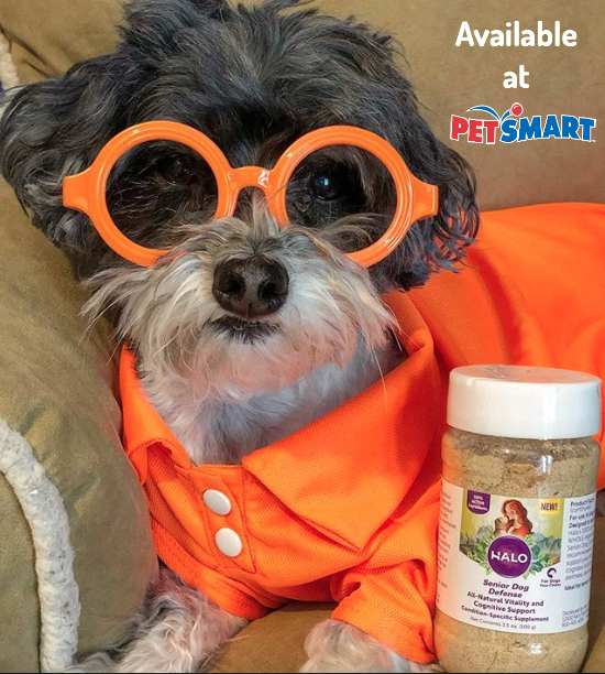 Halo Senior Dog Defense Supplement available at PetSmart