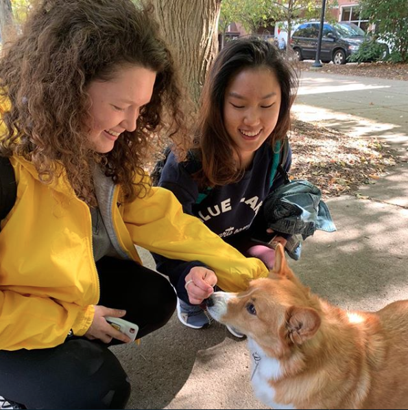 Reggie Campus Corgi