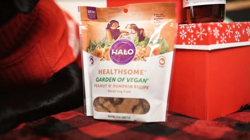 Healthsome Garden of Vegan Peanut n' Pumpkin recipes