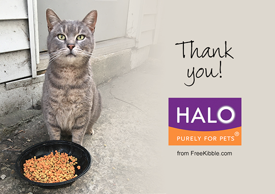 The Humane Society of the United States Day of Giving with Halo Pets 2016