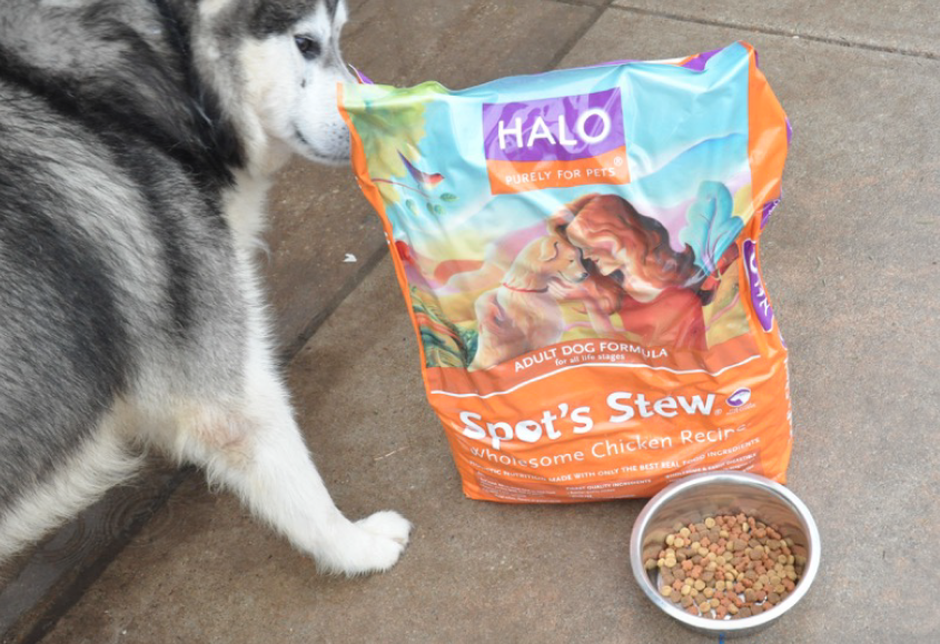 Texas Husky Rescue - Halo Pets donation