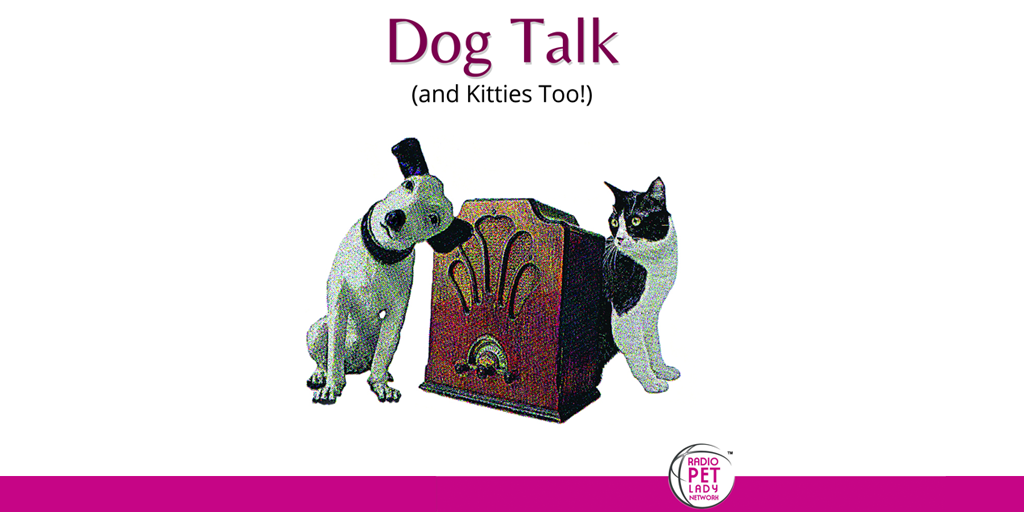 Dog Talk Radio