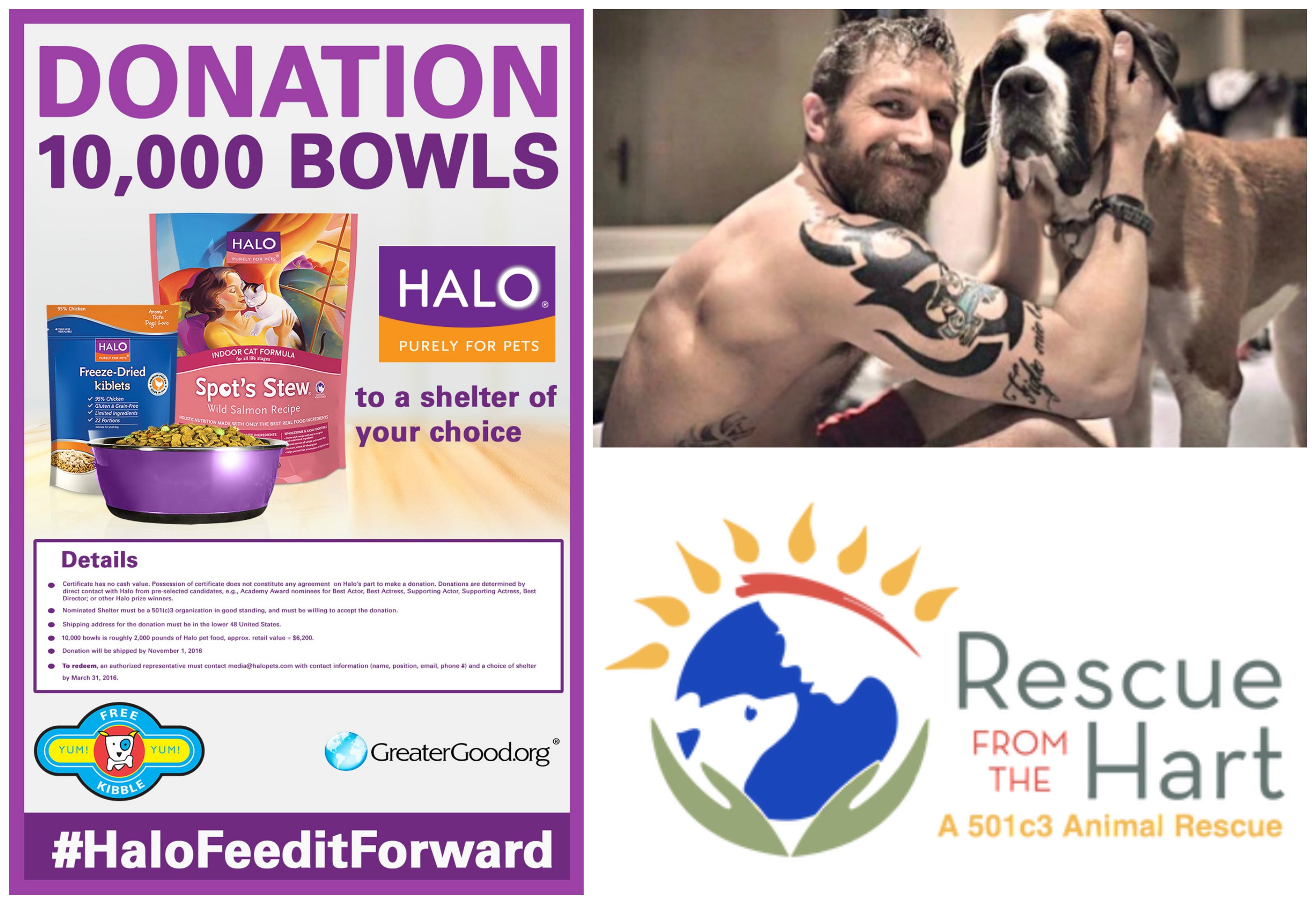 Tom Hardy Donates to Rescue from the Hart - Halo Pet donation #HaloFeeditForward
