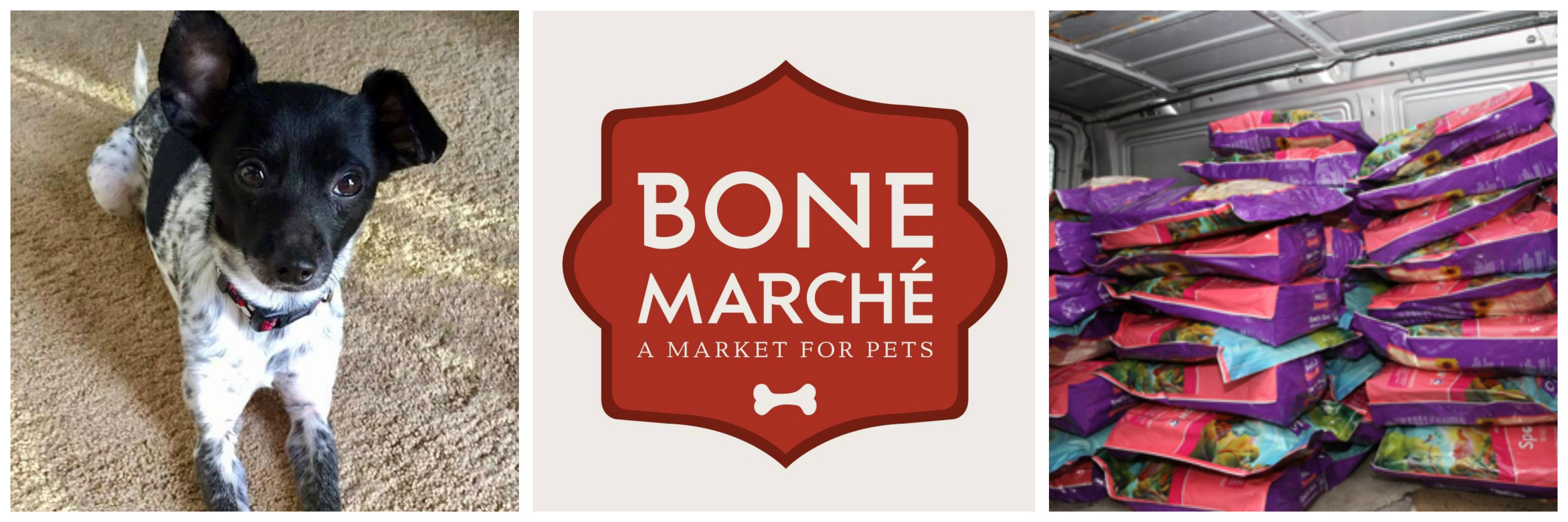 Bone Marche, Halo Pets and Good Karma Minneapolis