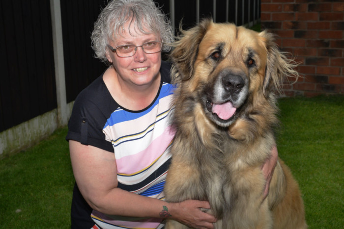 Shelagh Shaw and her Leonberger Dog