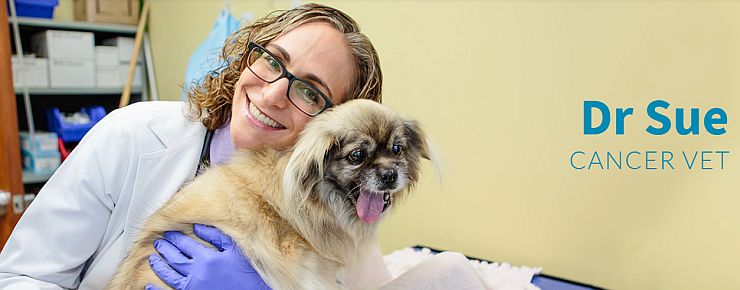 Dr Sue Ettinger - Pet Cancer Vet