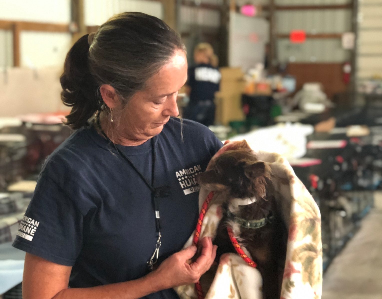 American Humane - puppy mill rescue